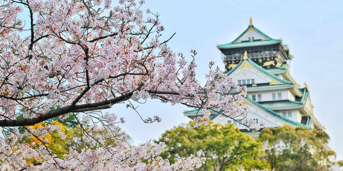 Popular tourist destination in Japan